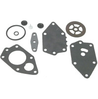 Carburetor Repair Kit for Johnson/Evinrude Outboard Motor 438616 - RCMA